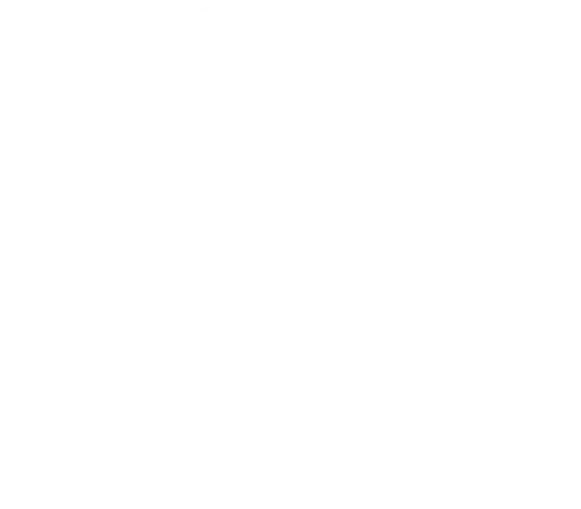 BSC Profile